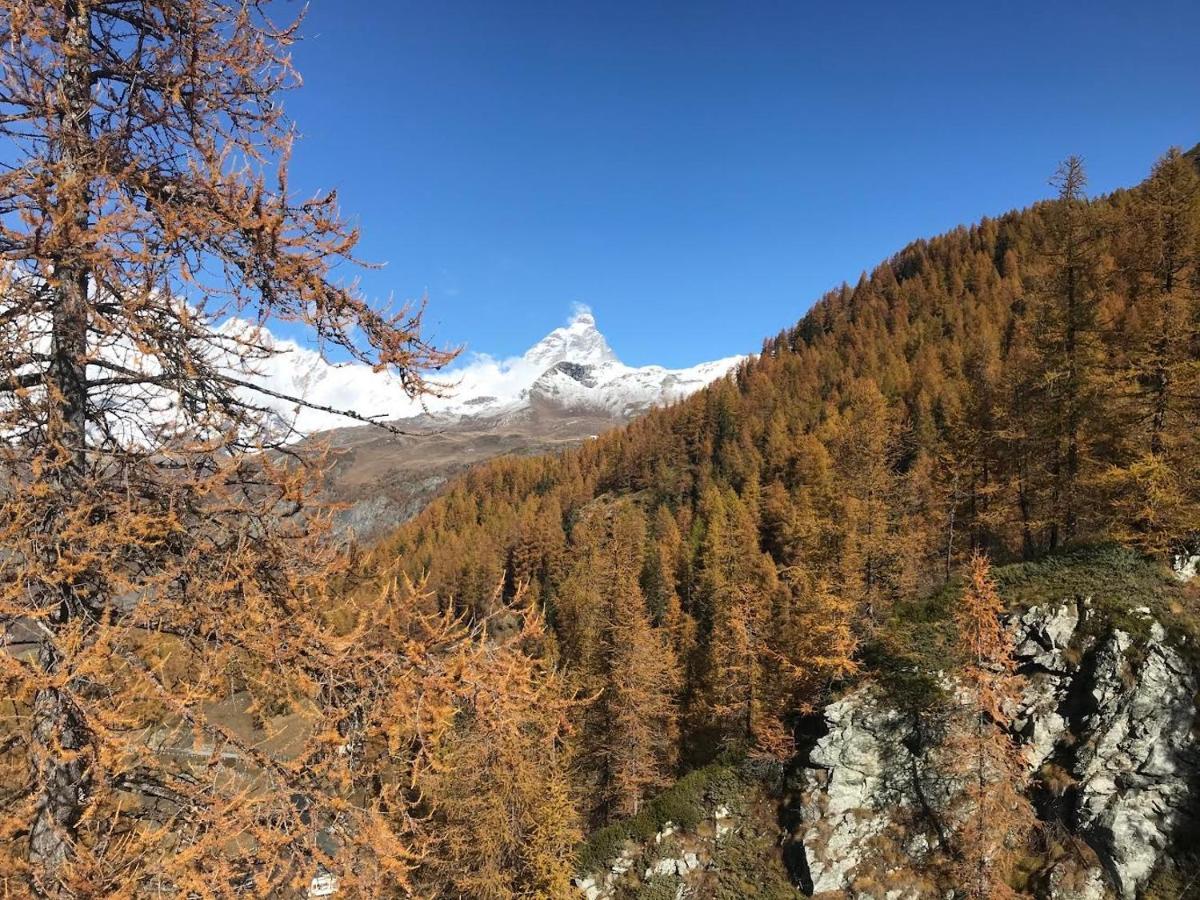 Appartamento Cervinia Fronte Funivie Breuil-Cervinia Bagian luar foto